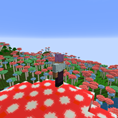 Mushroom Plains