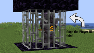 Overview of cage player button.
