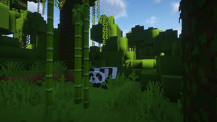 forest.png