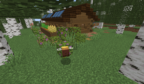 wood forest cabin