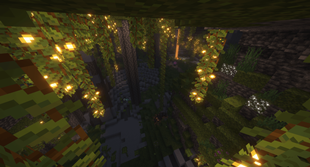 다양해진 동굴의 모습