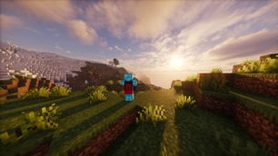 Survival.jpg