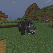 Direwolf