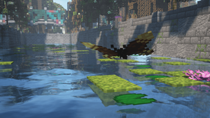 Queen Alexandra's birdwing