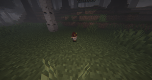 Gnome