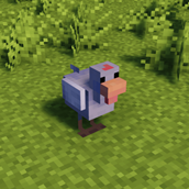 Cold Chicken without Crest!