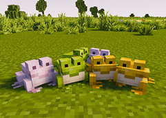 Ribbit Ribbit
