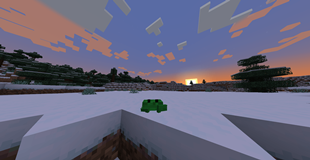 green crab with sunset