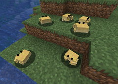 crab meeting (they talk about cashtaceans)