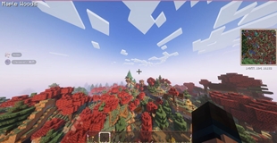 13.jpg