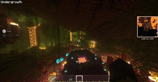 11.jpg