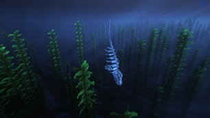 Myths of The Sea