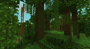Eroded Bamboo Jungle Biome
