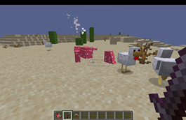 Chicken Overhaul