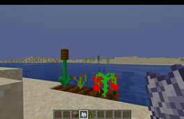crops