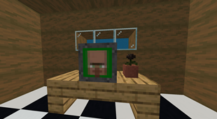 Villager Marketplace™