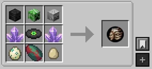 medus.JPG