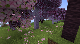 New tree