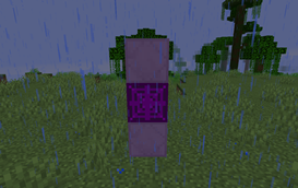 What is this?