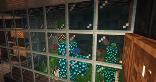 Nautilus.png