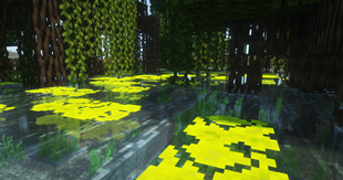 Arapaima Swamp.png