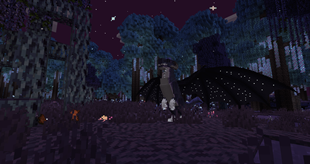 starlight.png