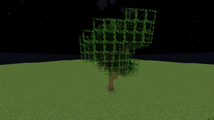 Tall Oak
