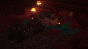 Screenshot 21