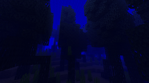 The Marine Forest
