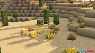 Screenshot 22