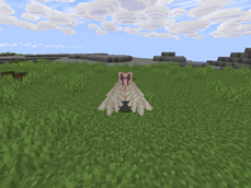 elytra.png