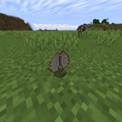 elytraitem.png