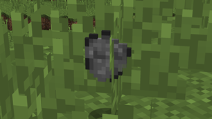CoalPowder