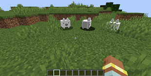 Cats