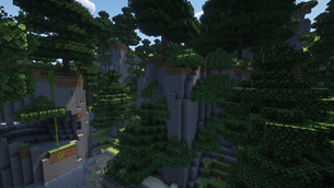 Sugi Forest