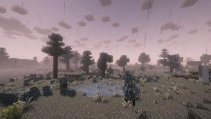 Rainy Plains