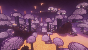 Luminous Grove