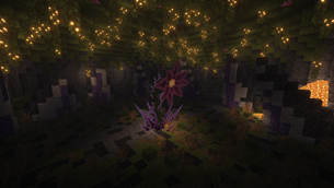 Void Blossom