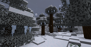 Winter Wonderland