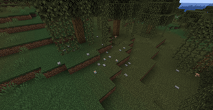 Loose Stones Scattered Around