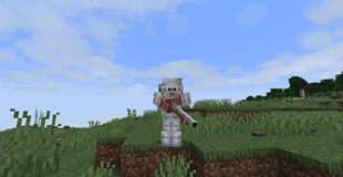Musket Man