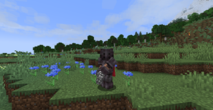 Netherite Soldier