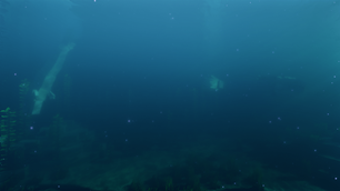 Ocean Depths