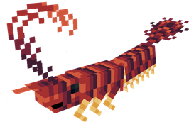 shrimp1.png