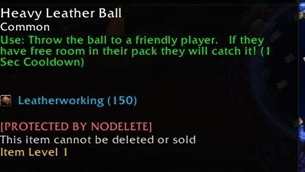 Protected Item Tooltip