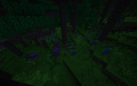 Gameplay 5