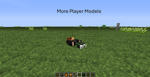 The Player Models are for my film Plan. Long Story Short. I'm going to Make a TV Series
