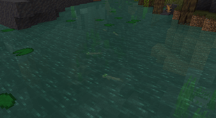 Mangrove Four-Eyed Fish