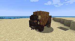 Male Bison with nametag and saddle