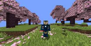 Model prime blue.png